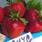 Земляника садовая Магнус
