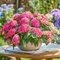 Гортензия крупнолистная 'Таблетензия Пинк' / Hydrangea  macrophylla 'Tabletensia Pink'